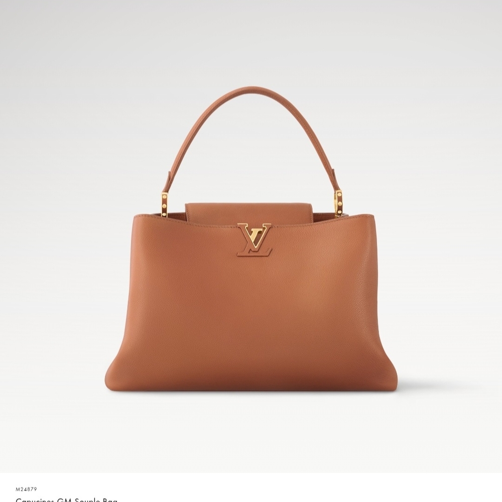 Louis Vuitton Brown Leather Handbag